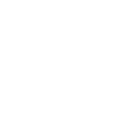 Photo ANTS sur-place